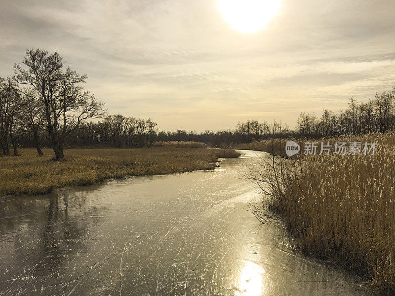 在美丽寒冷的冬日里，荷兰Weerribben Wieden自然保护区的冰冻运河上有溜冰的痕迹。